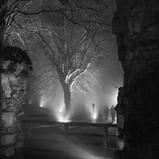 Into the light