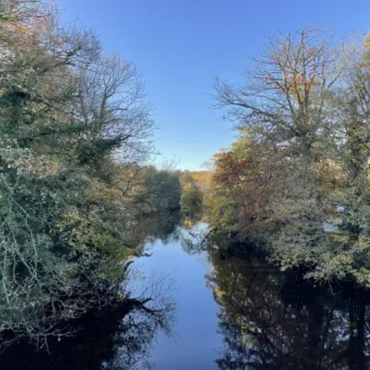 Tales of Knaresborough Forest