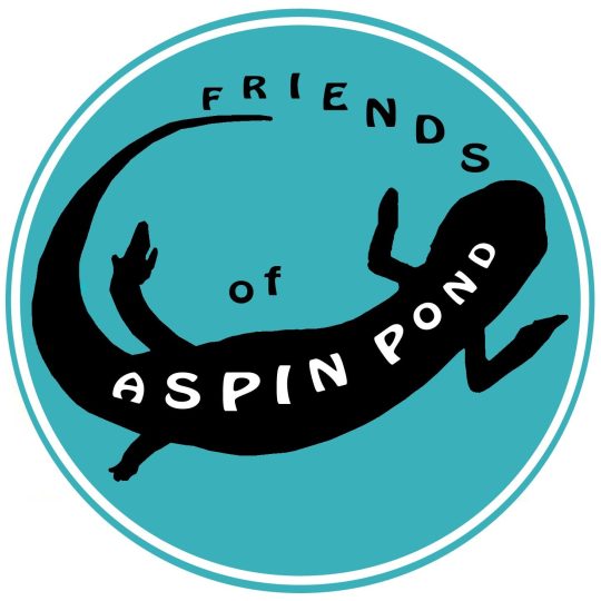 Discover Nature at Aspin Pond