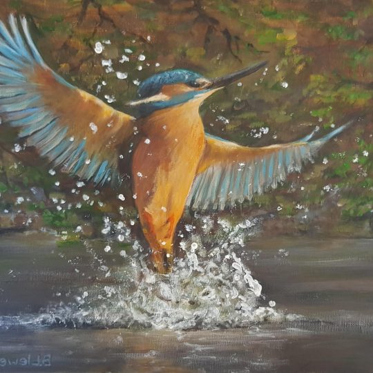 Knaresborough Art Society - Summer Exhibition 2025