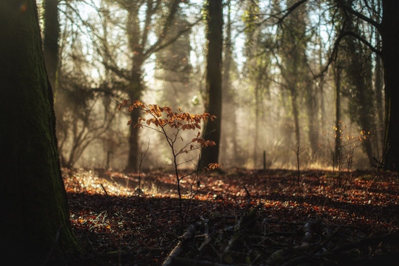Catching the light