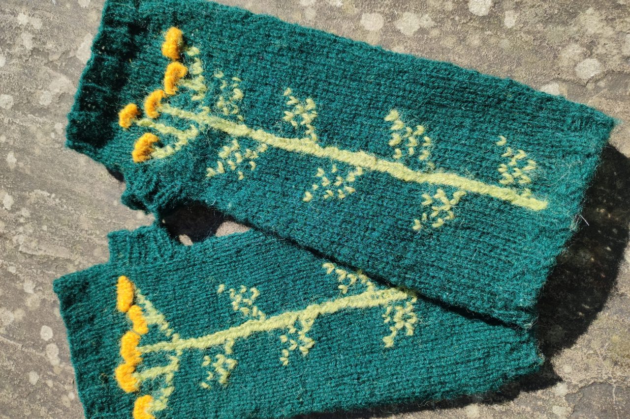 Heather Doyal Tansy mitts