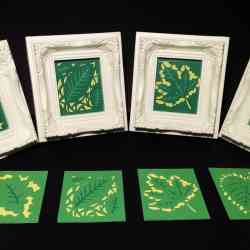 Douglas Papercutting workshop at Henshaws